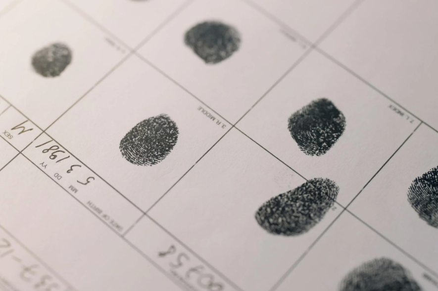 This image shows a close-up of fingerprints on paper.